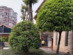 -夜不收荤豆花(大邑总店)