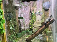 -上海大自然野生昆虫馆