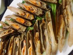 -蚝专家