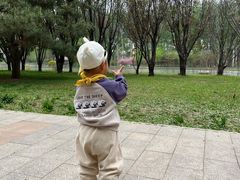 -仁和公园(顺义区)