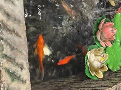 -和府捞面(天河领展广场店)