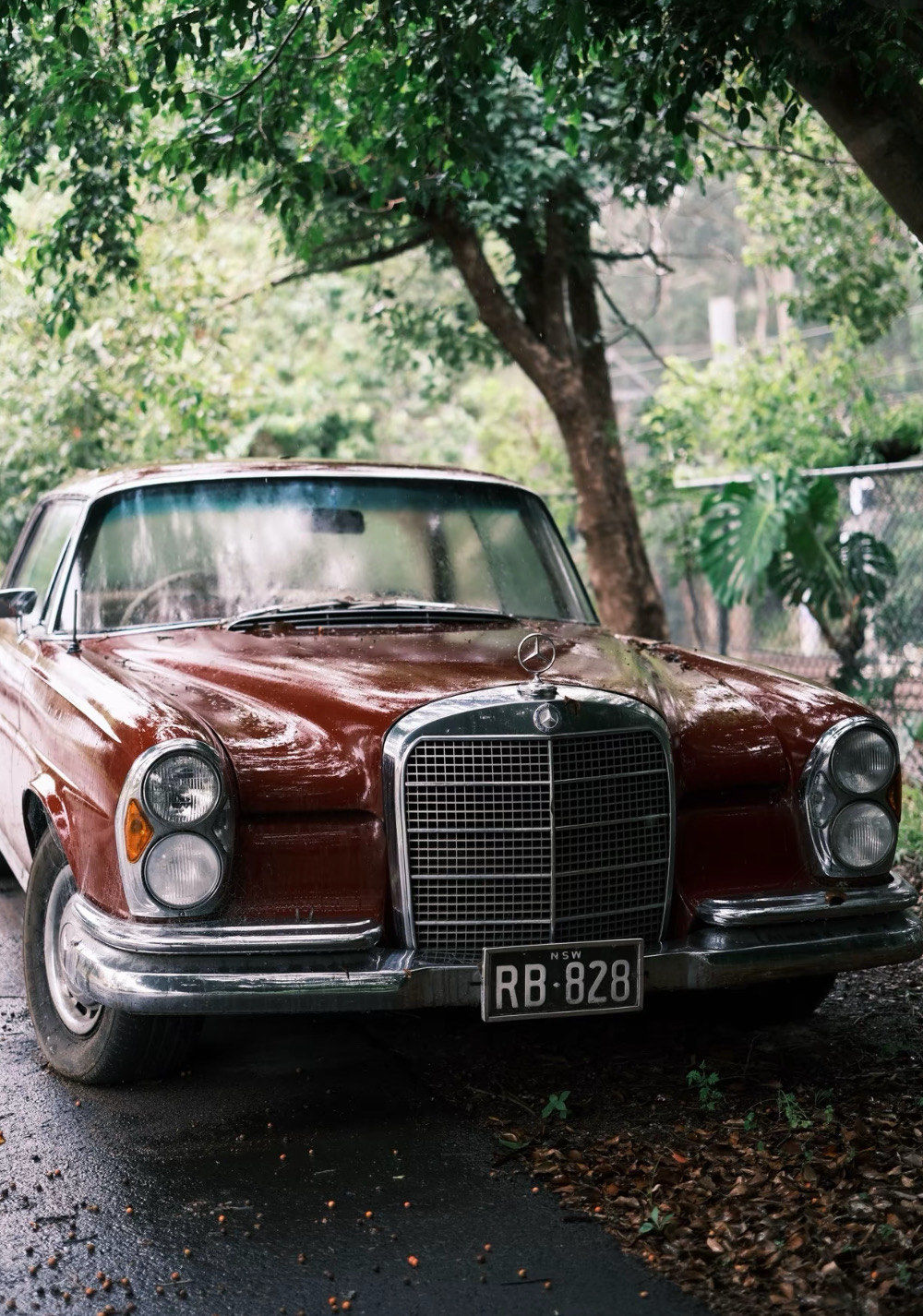 复古车爱好者进!一些美丽的交通工具