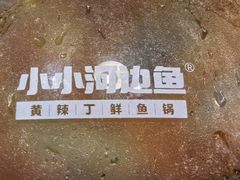 -小小河边鱼·黄辣丁鲜鱼锅(黎阳店)