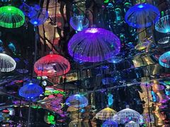 -成都梵高星空艺术馆(春熙路旗舰店)