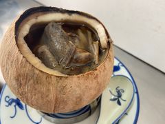 -達揚原味燉品(文明路店)