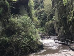 -茅兰沟国家森林公园