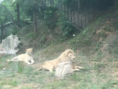 -石家庄市动物园