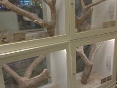 -龙猫仔乐园(惠福东路店)