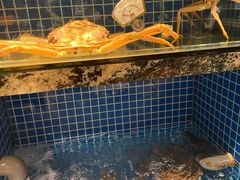 水产区-大宅院(西溪路店)