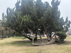 -无锡梅园公园