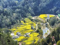 -石潭村