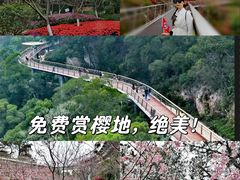 -狐尾山公园