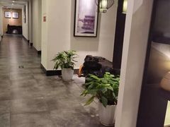 -清涟·足浴·spa·养生馆(重庆天地店)
