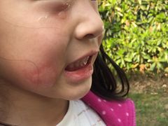 -崇明东平国家森林公园烧烤房车露营地