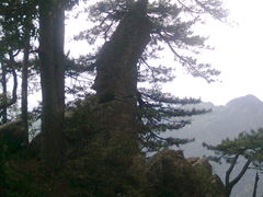 -井冈山风景名胜区