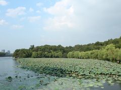 -西湖外事游船(花港观鱼码头)