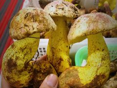 -双喜农庄·菌香园(安居家园店)