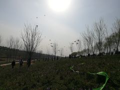-洨河生态公园