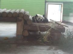 -石家庄市动物园