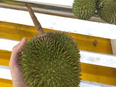-SS2 榴梿鲜生