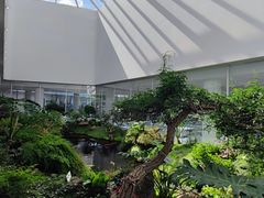 -罗红摄影艺术馆