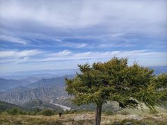 -灵山