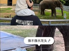-无锡动物园·太湖欢乐园