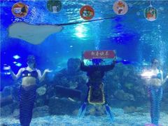 -重庆欢乐海底世界