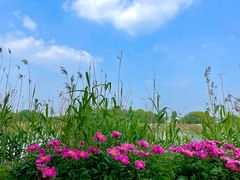 -梁鸿国家湿地公园