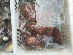 -先锋海鲜市场