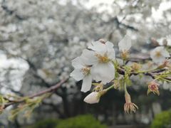 -湖北省博物馆
