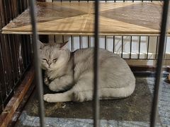 -津菜宋记老房子(鼓楼店)