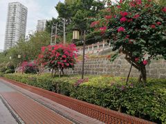 -铁路文化公园