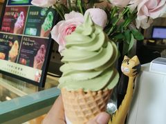 -两棵枇杷树