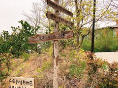 -北马山庄植趣咖啡