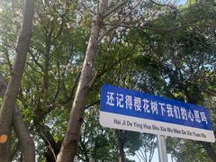 -高东镇樱花园