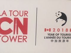 -加拿大国家电视塔