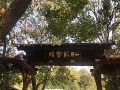 -白马涧龙池景区