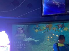 -烟台海昌鲸鲨海洋公园