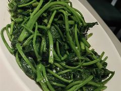 清炒苕尖-刘胖子家常菜·蹄花焖藕(富安街店)