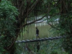 -燕晗山郊野公园