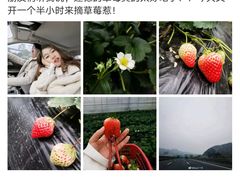-建德果蔬乐园绪塘草莓基地