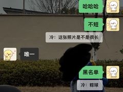 -老妈宫粽球