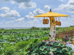 -七的湖·晚芳亭·阳澄湖农家菜·大闸蟹(莲花岛店)