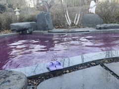 -清河半岛温泉度假酒店