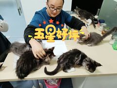 -仁普宠物诊所(住友昌盛新苑店)