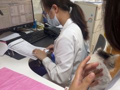 -北京观赏动物医院·24小时大型综合·猫专科·异宠专科