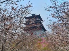 -古柏渡飞黄旅游区