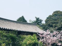-西安青龙寺遗址景区