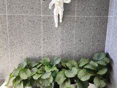 -真枪会射击俱乐部(河西中央公园店)